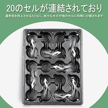 No.209メープル瘤スポルテッドの小物トレー（2000番仕上げ） No.209メープル瘤スポルテッドの小物トレー（2000番仕上げ） No